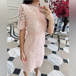 Rachel Parcell NWT Lace Sheath Dres XS